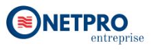 Netpro Entreprise